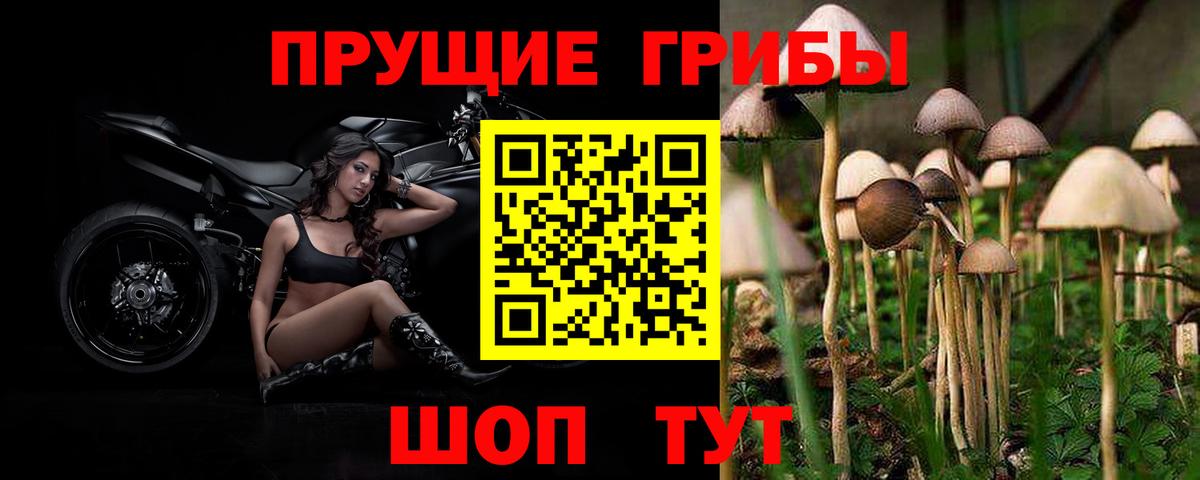 Галлюциногенные грибы мицелий  сколько стоит  Мценск  Вход с VPN 